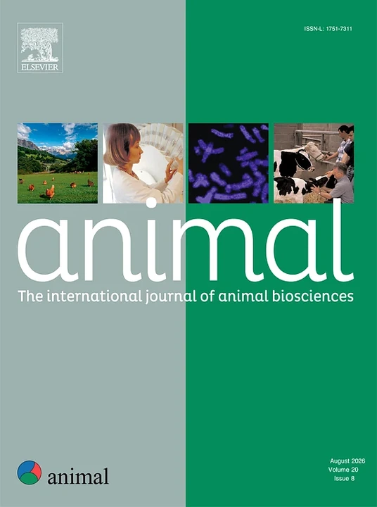 Animal journal cover