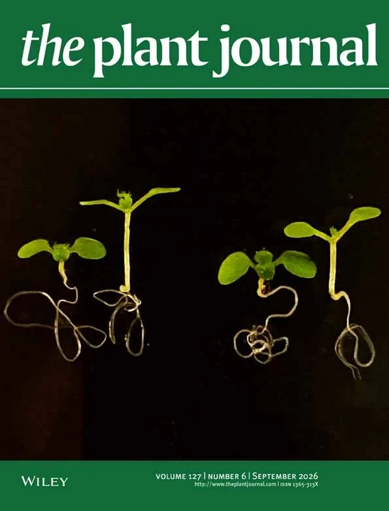 PLANT JOURNAL journal cover