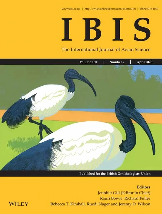 IBIS 期刊封面