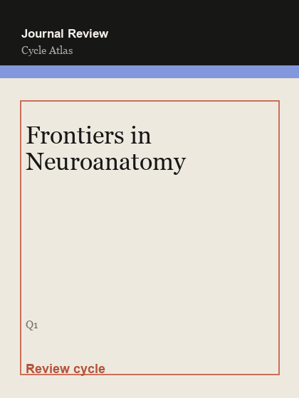 Frontiers in Neuroanatomy 临时占位封面