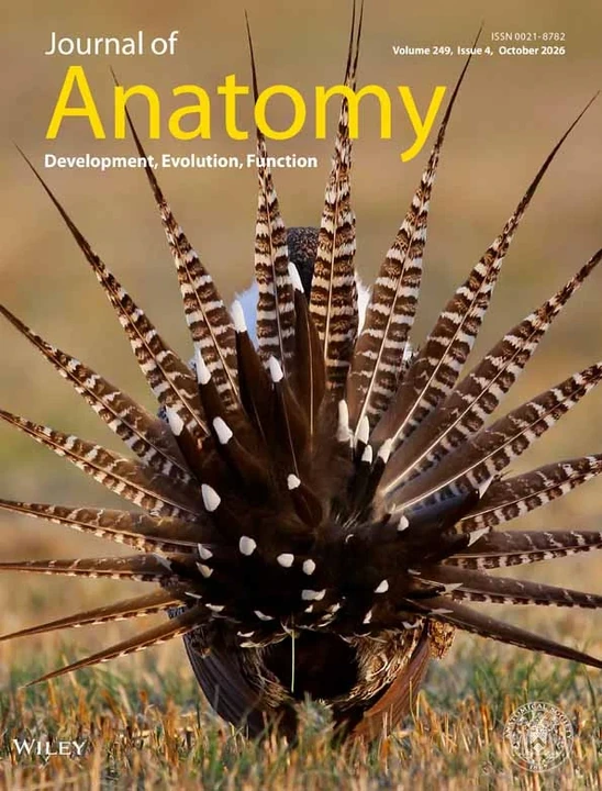 JOURNAL OF ANATOMY 期刊封面