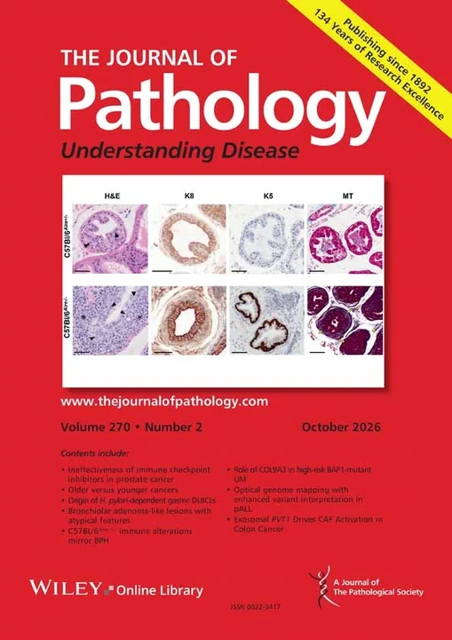JOURNAL OF PATHOLOGY journal cover