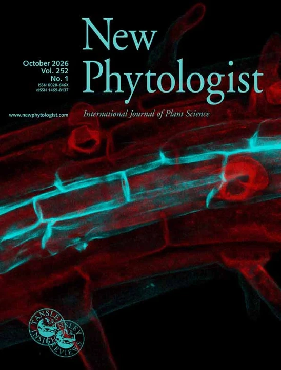 NEW PHYTOLOGIST 期刊封面