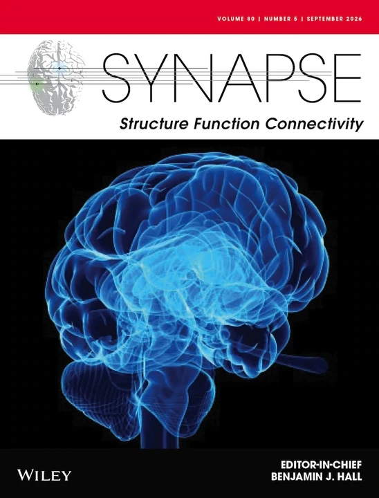 SYNAPSE-Structure Function Connectivity 期刊封面
