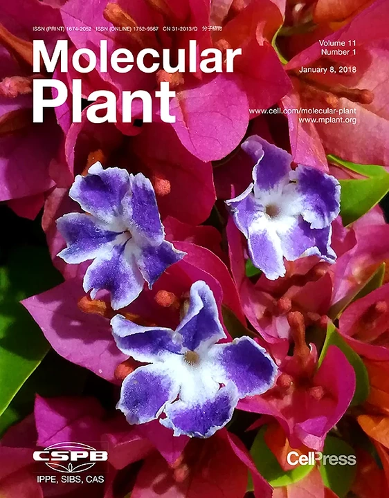 Molecular Plant journal cover