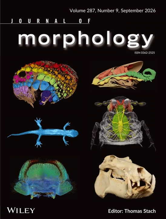 JOURNAL OF MORPHOLOGY journal cover