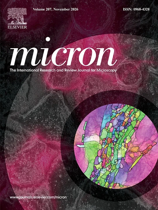 MICRON journal cover
