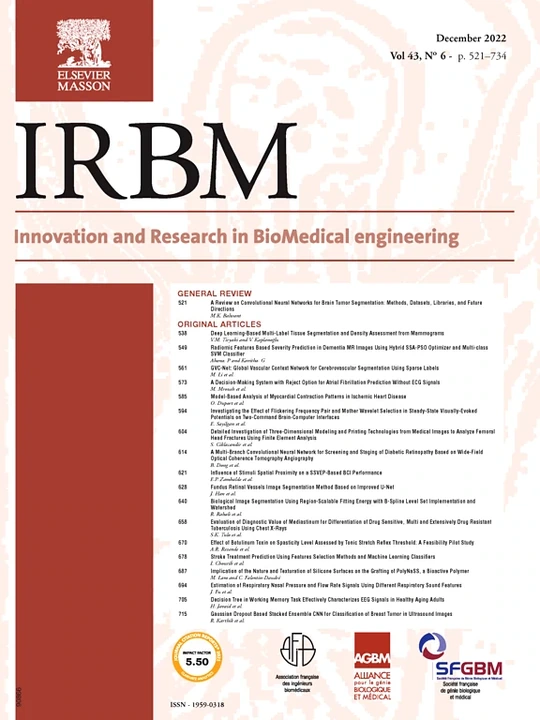 IRBM 期刊封面