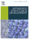ARTHROPOD STRUCTURE & DEVELOPMENT 期刊封面
