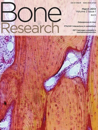 Bone Research 期刊封面