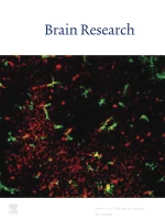 BRAIN RESEARCH journal cover