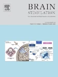 Brain Stimulation journal cover