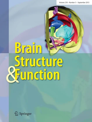 Brain Structure & Function journal cover