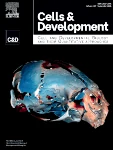 Cells & Development journal cover