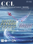 CHINESE CHEMICAL LETTERS journal cover