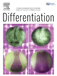 DIFFERENTIATION journal cover