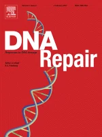 DNA REPAIR 期刊封面