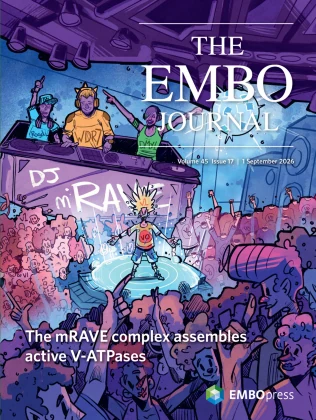 EMBO JOURNAL 期刊封面