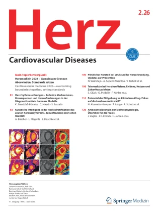 HERZ journal cover