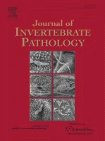 JOURNAL OF INVERTEBRATE PATHOLOGY journal cover