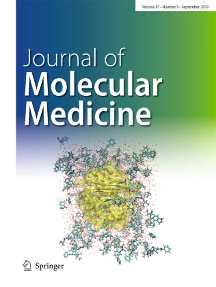 JOURNAL OF MOLECULAR MEDICINE-JMM 期刊封面