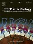 MATRIX BIOLOGY journal cover