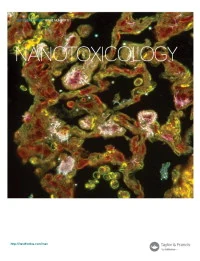 Nanotoxicology journal cover
