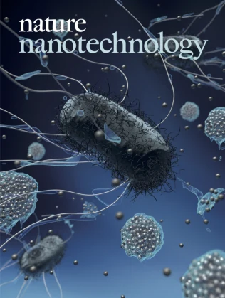 Nature Nanotechnology journal cover