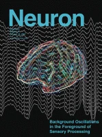 Neuron 期刊封面