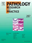 PATHOLOGY RESEARCH AND PRACTICE 期刊封面