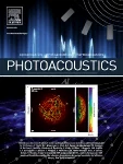 Photoacoustics 期刊封面