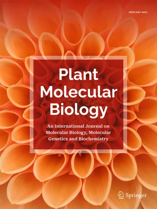 PLANT MOLECULAR BIOLOGY journal cover