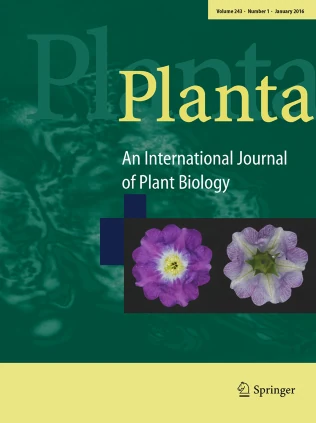 PLANTA journal cover