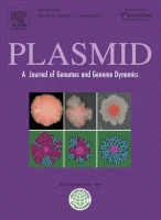 PLASMID journal cover