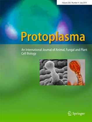PROTOPLASMA 期刊封面