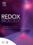 Redox Biology 期刊封面