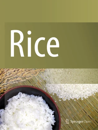 Rice journal cover