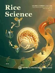 Rice Science journal cover