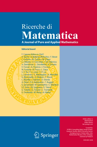 RICERCHE DI MATEMATICA 期刊封面