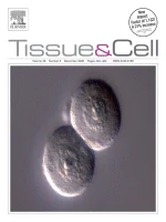 TISSUE & CELL 期刊封面