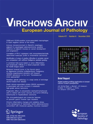 VIRCHOWS ARCHIV journal cover
