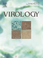 VIROLOGY journal cover