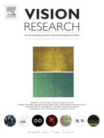 VISION RESEARCH journal cover